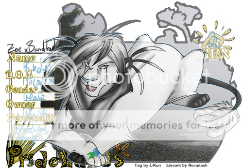 User Image